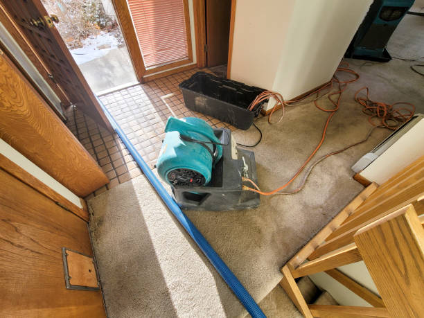 Best Commercial water damage restoration  in Regency At Monroe, NJ