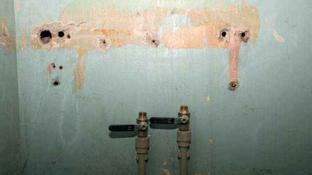 Best Sewage cleanup and water damage restoration  in Regency At Monroe, NJ